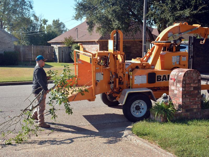 Tree removal project in Davenport, IA