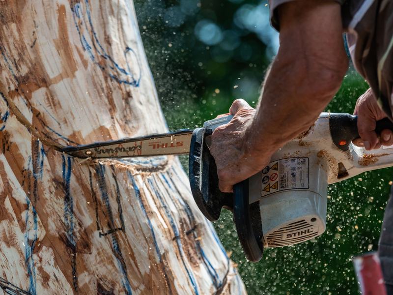 Tree removal in Davenport area, IA